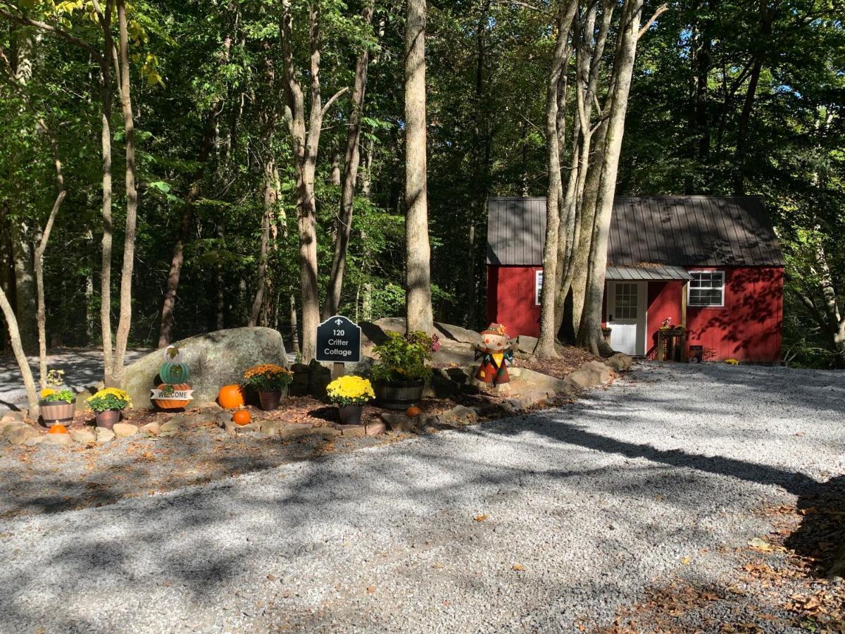Coops Creek Cabins Dunlap Exterior foto